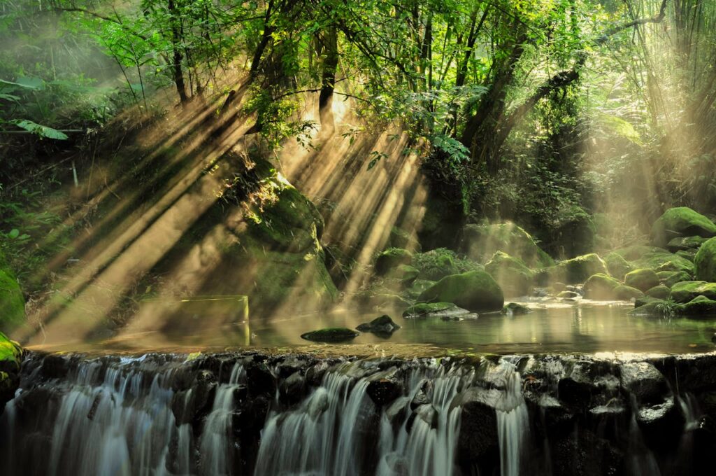 Tranquil waterfall in a lush forest with sunbeams streaming through the trees, creating a peaceful scene.